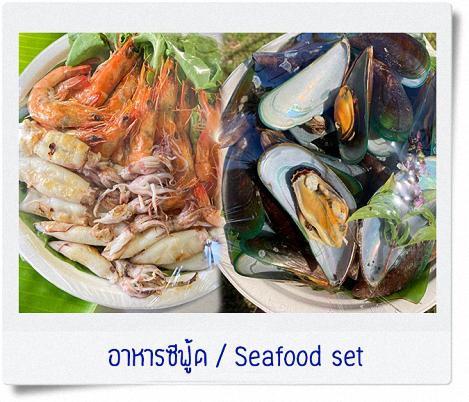ทัวร์ตกหมึก ชุมพร